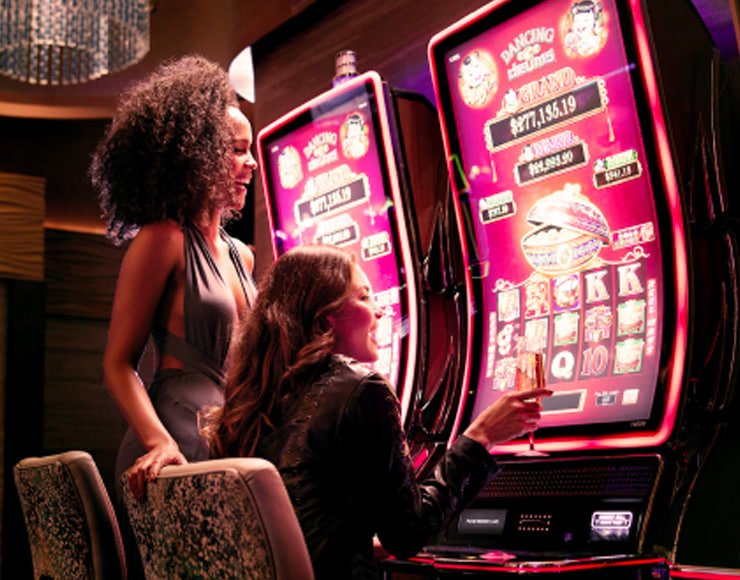 7 bet bd app